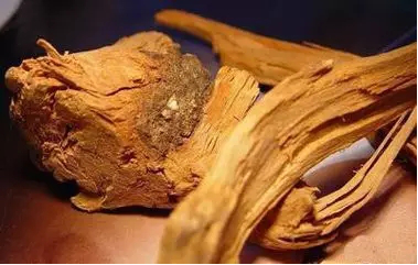 1506066653497588.png 寻根究源·探索益德成鼻烟的“秘密”382.png