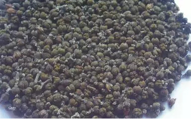 1506066695926263.png 寻根究源·探索益德成鼻烟的“秘密”739.png