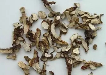 1506066733899122.png 寻根究源·探索益德成鼻烟的“秘密”960.png