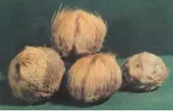 1506066808472496.png 寻根究源·探索益德成鼻烟的“秘密”1249.png