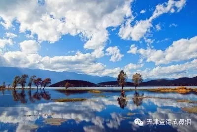 1506138863152135.jpg 640.webp (7).jpg