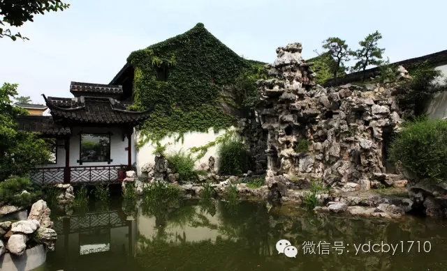 1506222960423529.jpg 640.webp (3).jpg