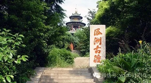 1506222964480275.jpg 640.webp (4).jpg