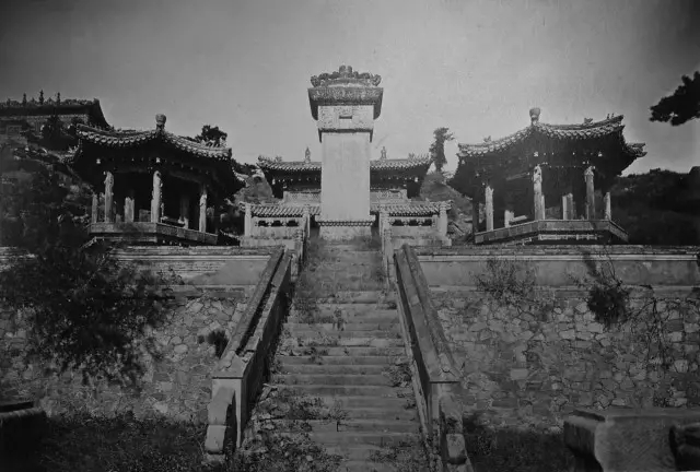 1507607295611453.jpg 640.webp (4).jpg