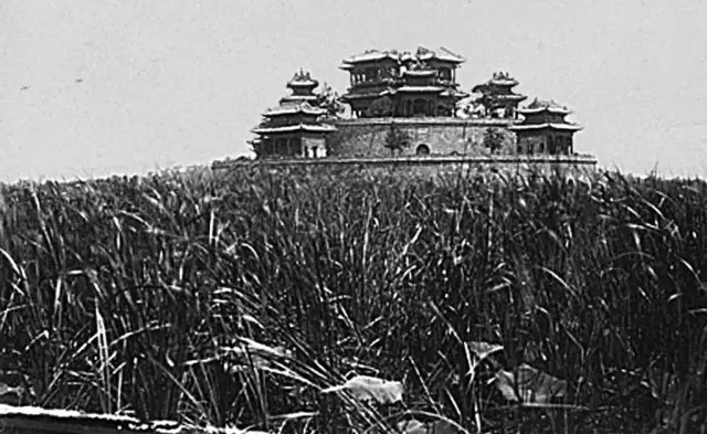 1507607298360052.jpg 640.webp (5).jpg