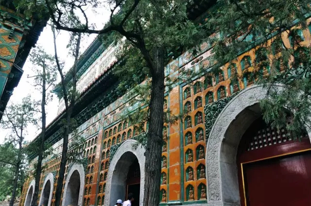 1507607322250982.jpg 640.webp (6).jpg