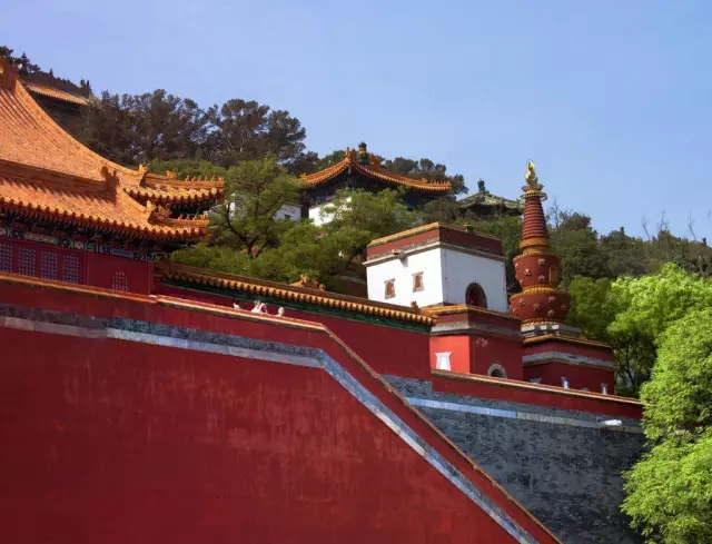 1507607326717985.jpg 640.webp (7).jpg