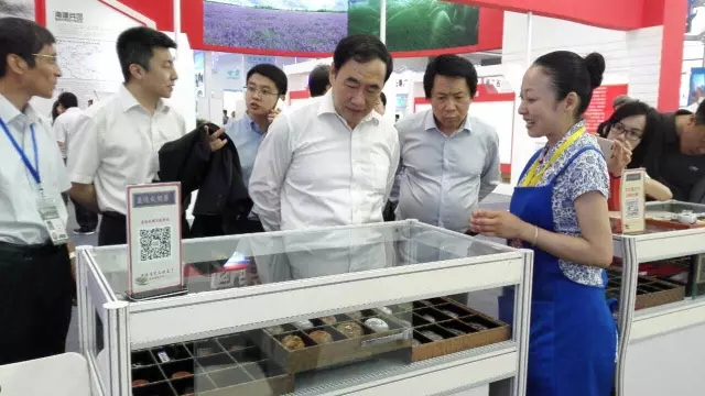 1507610497960910.jpg 640.webp (11).jpg