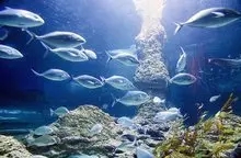 1508060657782066.jpg 640.webp (7).jpg