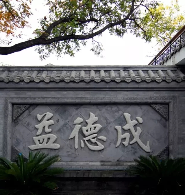 1510727224688736.jpg 640.webp (8).jpg