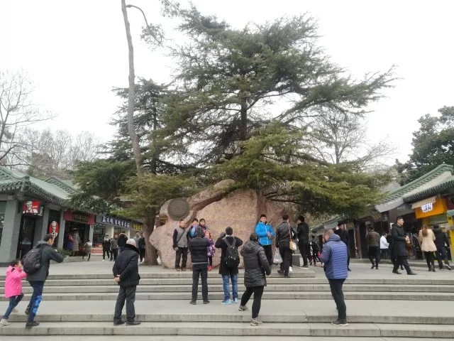 1523781690517834.jpg 640.webp (2).jpg