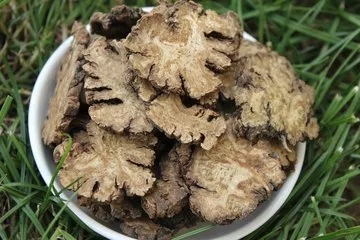 1533632293124386.jpg 640.webp (11).jpg