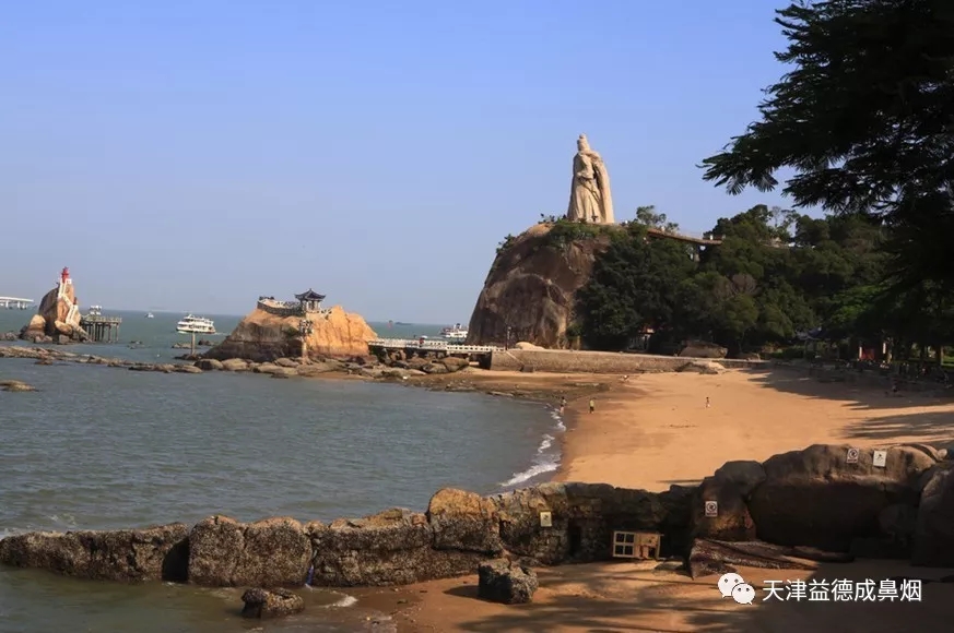 1556433503657961.jpg 640.webp (3).jpg