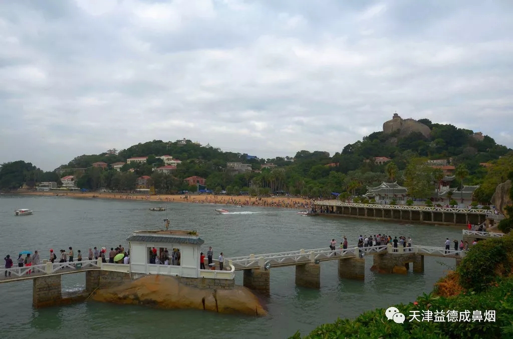 1556433512576781.jpg 640.webp (4).jpg