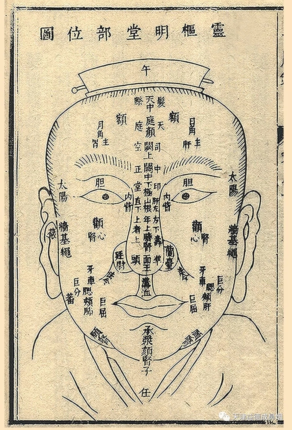 1556435384361215.jpg 640.webp.jpg